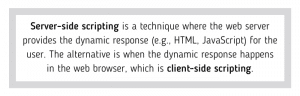 Server-side scripting is a technique where the web server provides the dynamic response (e.g., HTML, JavaScript) for the user. The alternative is when the dynamic response happens in the web browser, which is client-side scripting.