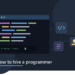 Abstract image with text how to hire a programmer.